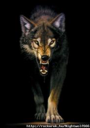 Nightwolf666