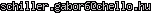 msn