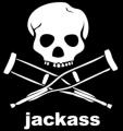 jackass