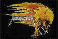 Metallica-Flame-Skull-LP1197