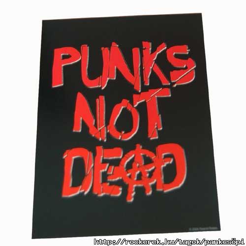 punk`s not de@d