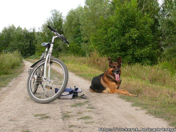 Rex s a bike... Imdom ket :)