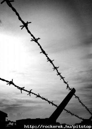 barbed_wire_fence-575x450