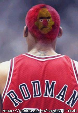 Dennis Rodman legjobban sikerlt frizurja :)