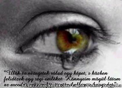 Mert faj...