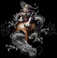 dragon-tiger-skull-animal-31000