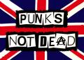 punk,s not dead