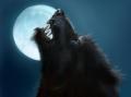 Moon Werewolf