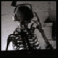 skeleton