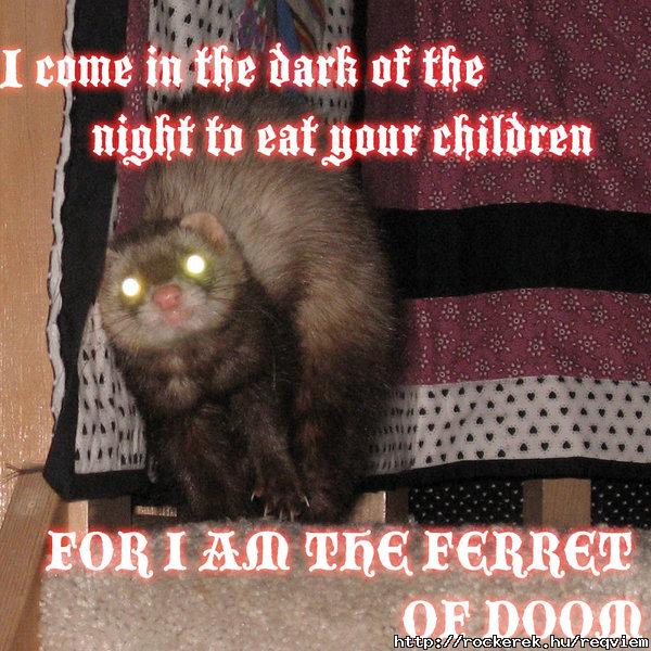 Evil Ferret Of DOOM