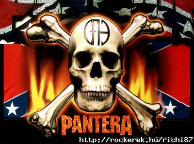 51294~Pantera-Flag-and-Skull-Posters