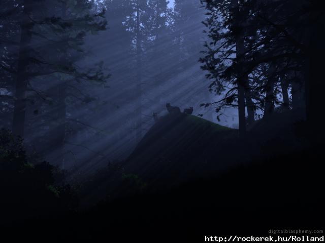 dark-nite-forest-image