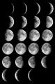 Moon_phases2