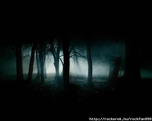 Dark-Forest-35836
