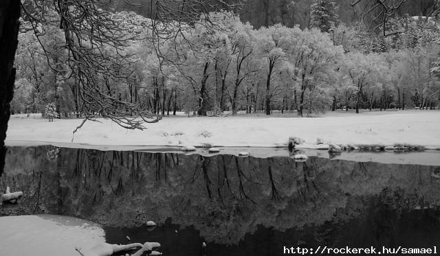 Depressive - Winter - Forest - Snow