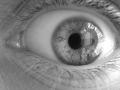 my eye xD