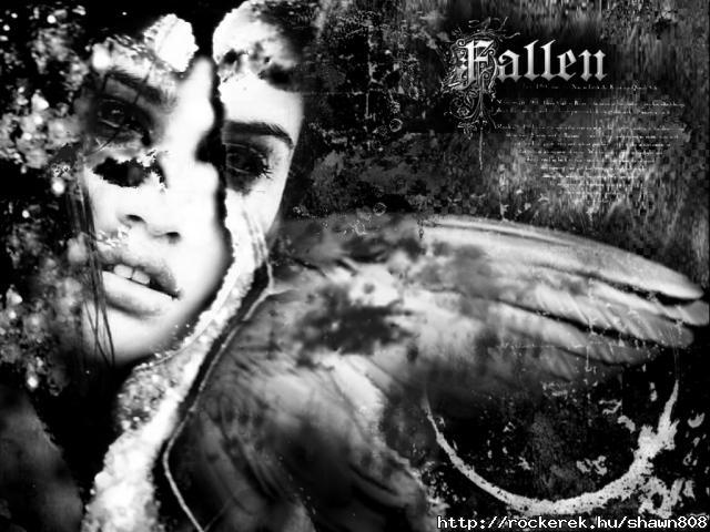 Fallen Angel BW