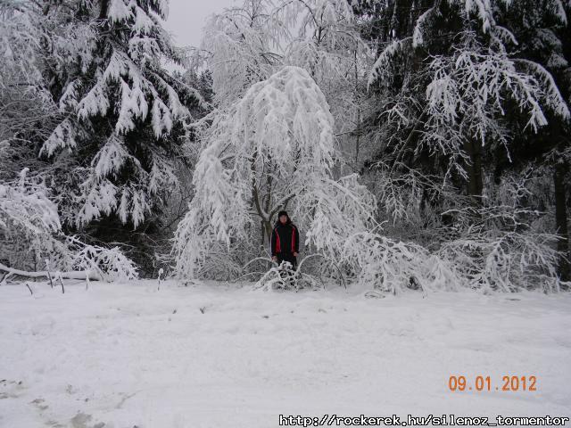 At the Heart of winter-Szkelyfld verzi