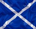 400-5626389-scotland-flag