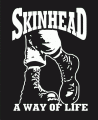 Skinhead 88 Divsion