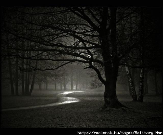 forest-night-dark