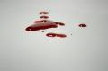 eh0412_dexter