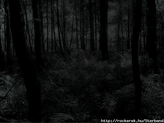 dark.forest