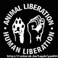 Együtt az állatkínzás ellen!!!!!!!!