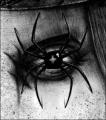 Spiders_of_my_Eyes