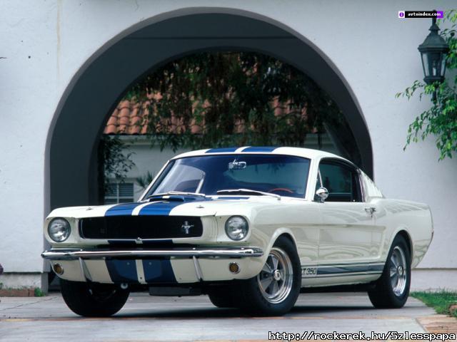 65` Shelby mustang
