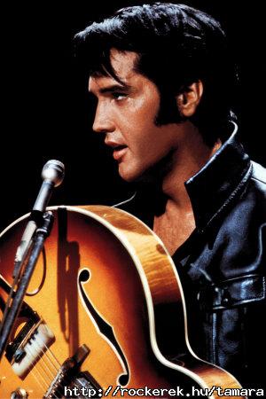 069_3726elvis-presley-posters1