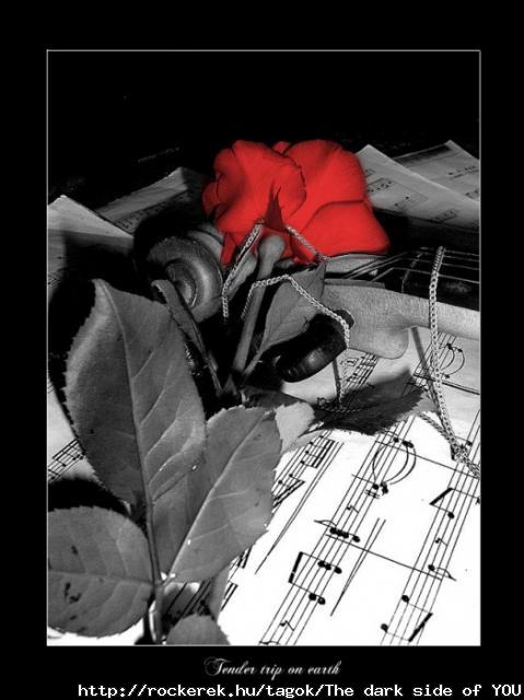 Rose and Note