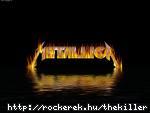 Metallica 4 ever