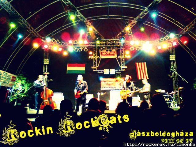 RockinRockCats
