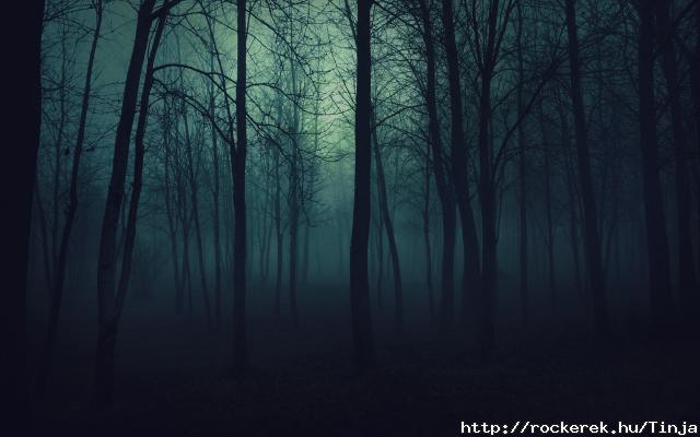 wood_trees_gloomy_fog_haze_darkness_50175_2560x1600