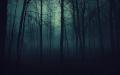 wood_trees_gloomy_fog_haze_darkness_50175_2560x1600