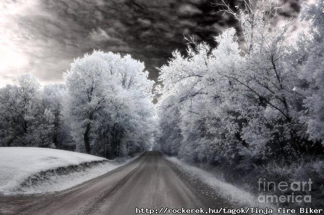 dreamy-surreal-infrared-country-road-landscape-kathy-fornal