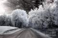 dreamy-surreal-infrared-country-road-landscape-kathy-fornal