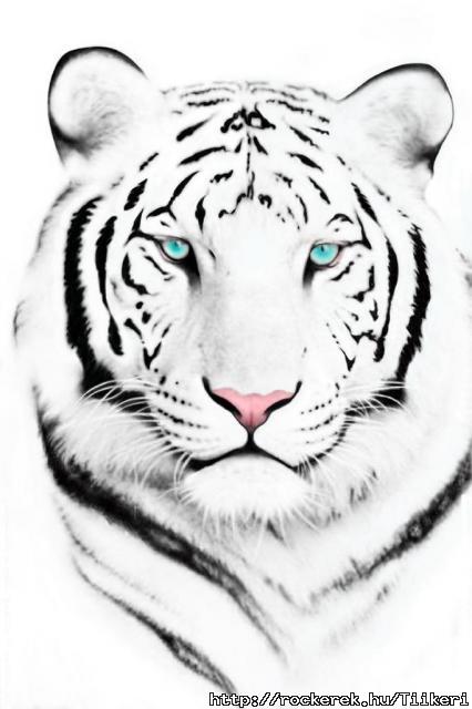 White tiger 2