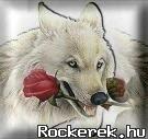 Wolf and rose
