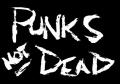punk-not-dead3331