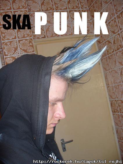 SKA and HARDCORE PuNk