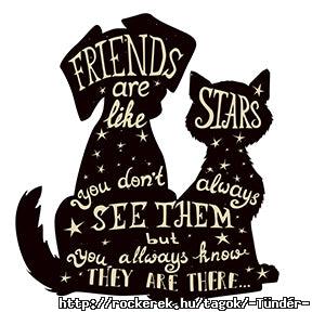 20-38-22-Friends_are_Like_Stars_Quote_Calligraphy_in_Dog_Cat_Animal_Silhouette_496797800_edit_grande