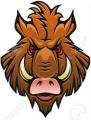 14649226-Head-of-angry-boar-for-sports-mascot-design-in-color-and-black--Stock-Photo
