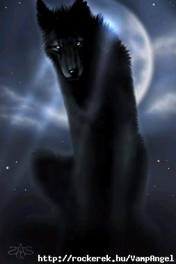 Fekete Farkas