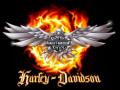 Harley-Davidson eagle