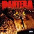 pantera