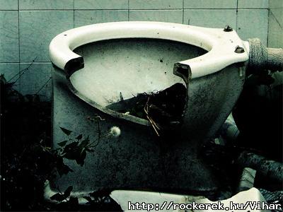 broken-toilet