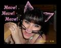 meow__