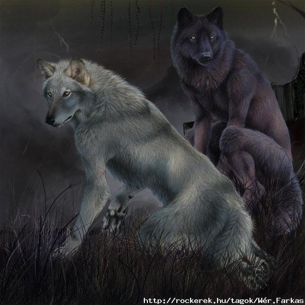 Werewolf_Annals_by_Rayndancer